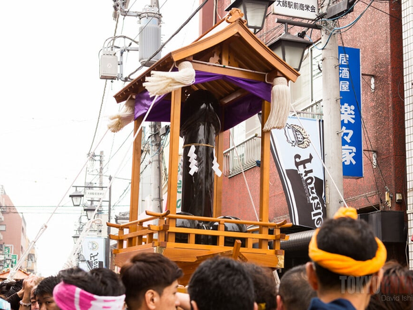 Article featured image