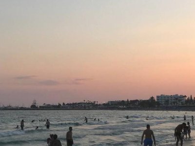 Article featured image