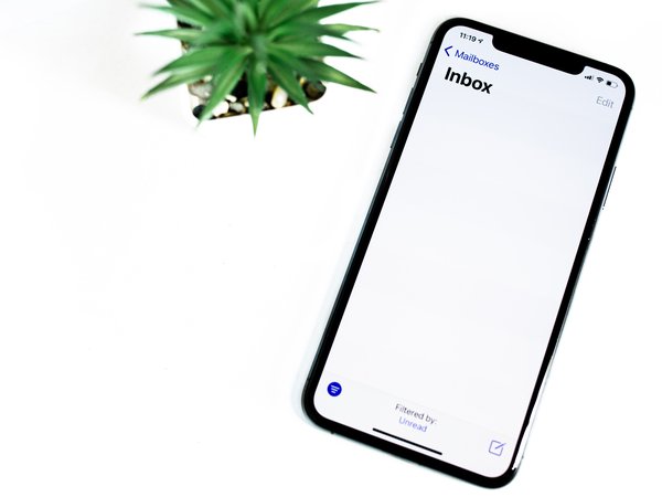 Article featured image