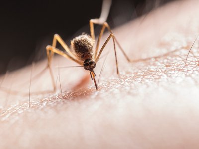 Article featured image