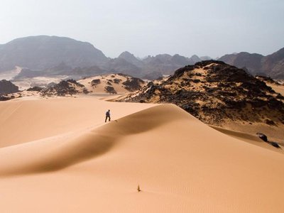 Article featured image