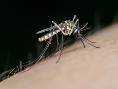 Article featured image