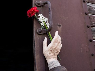 Article featured image