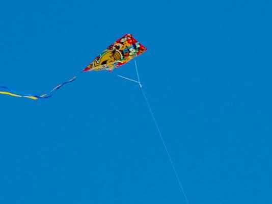 Article featured image