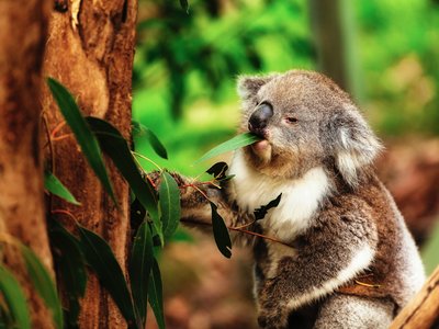 Article featured image
