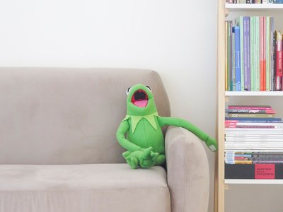 Article featured image
