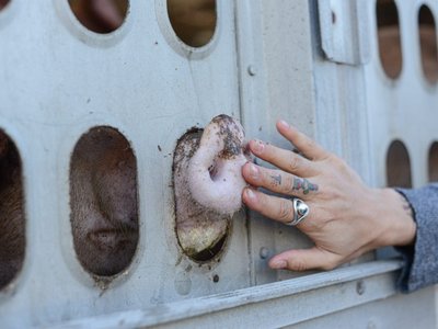 Article featured image