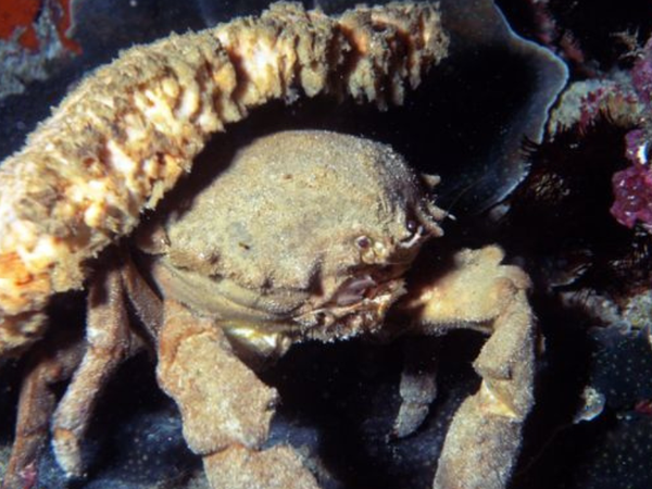 Article featured image