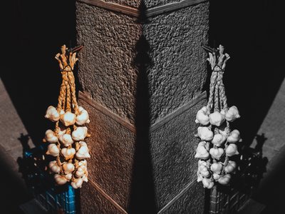 Article featured image