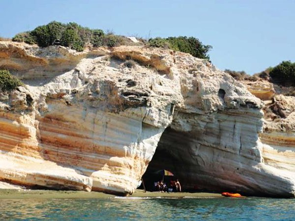 Article featured image