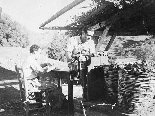 Article featured image