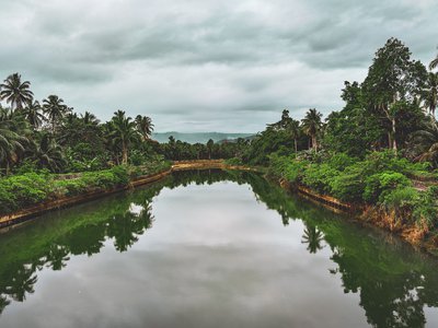 Article featured image