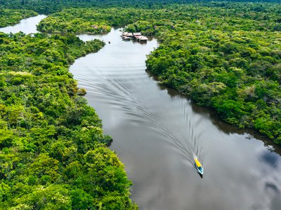 Article featured image