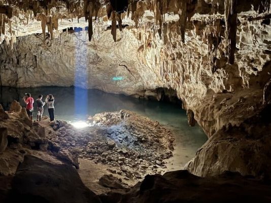 Article featured image