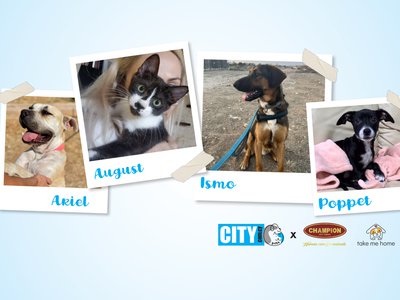 Article featured image