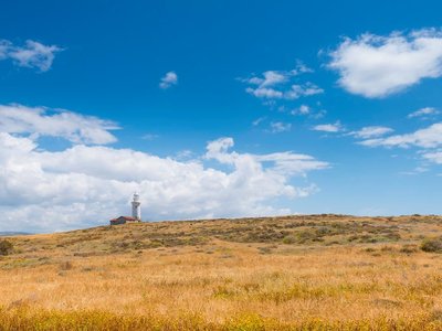 Article featured image