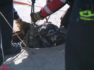 Article featured image