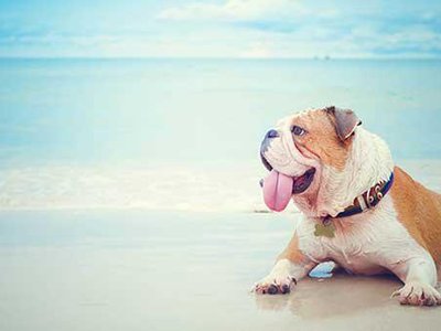 Article featured image