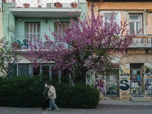 Article featured image