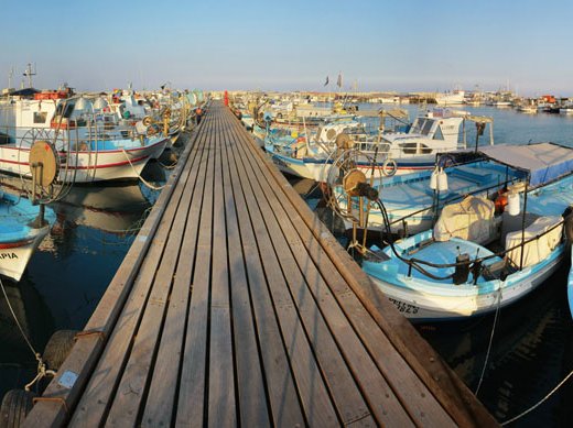 Article featured image