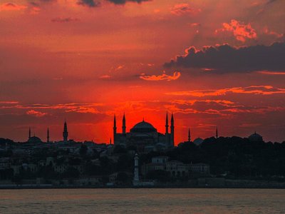 Article featured image