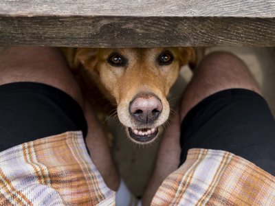 Article featured image
