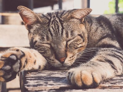 Article featured image