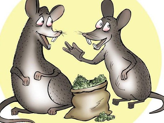 Article featured image