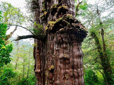 Article featured image