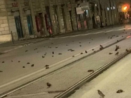 Article featured image