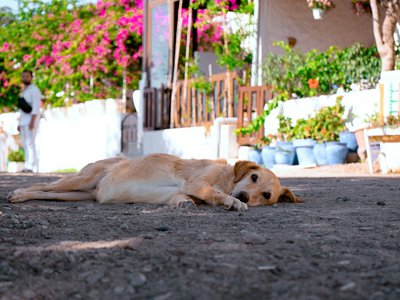 Article featured image