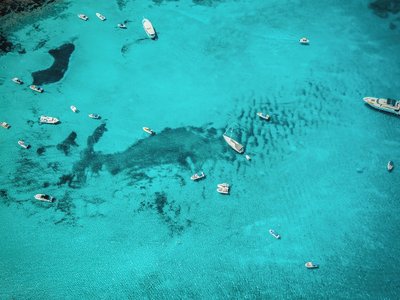Article featured image
