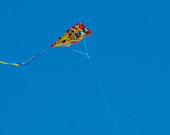 Article featured image