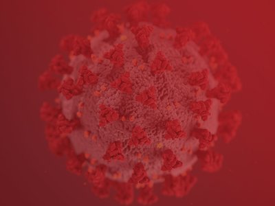Article featured image