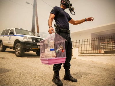 Article featured image