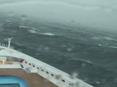 Article featured image