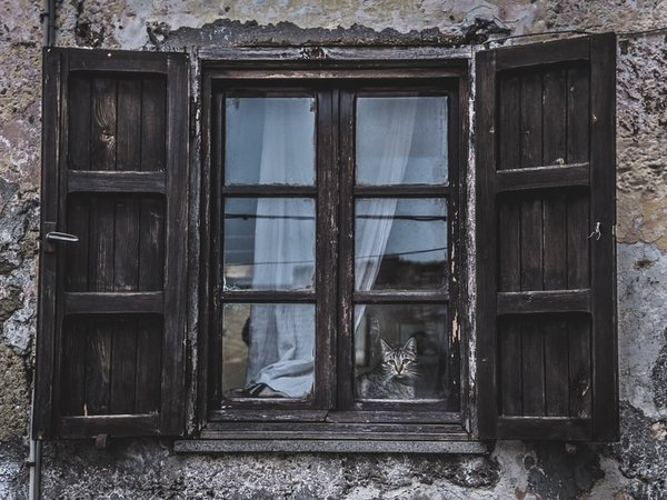 Article featured image