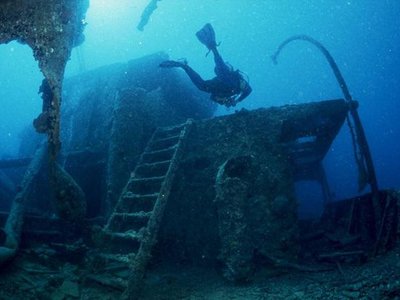 Article featured image