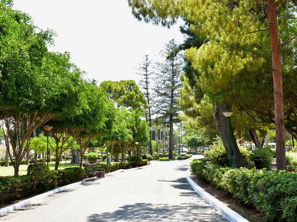 Article featured image