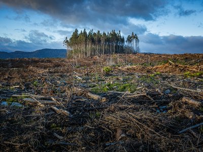 Article featured image
