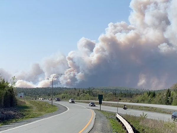 Article featured image