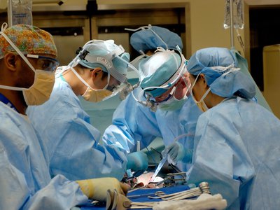 Article featured image