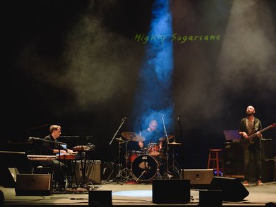 Article featured image