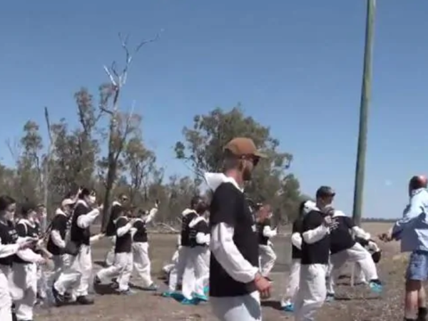 Article featured image