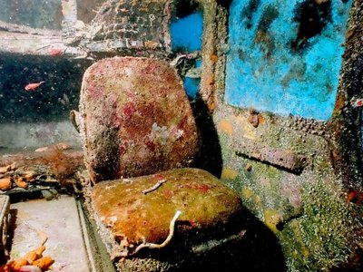 Article featured image