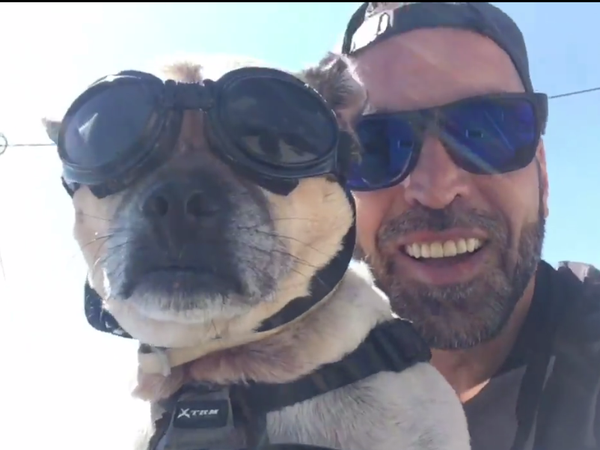 Article featured image