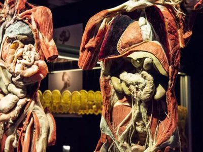 Article featured image