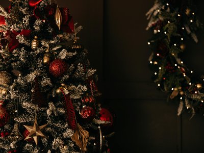 Article featured image