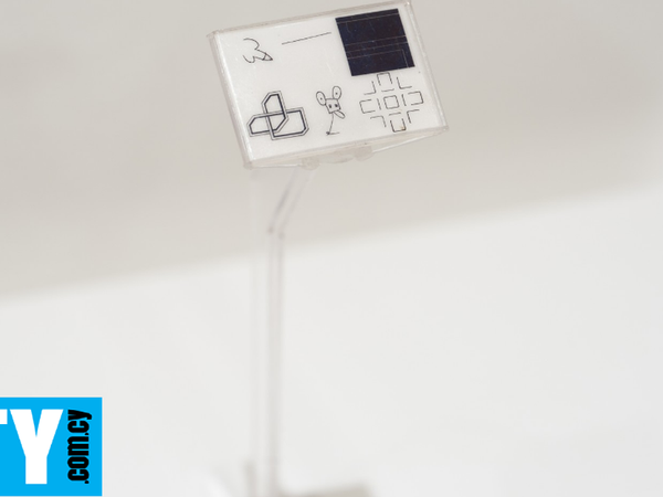 Article featured image