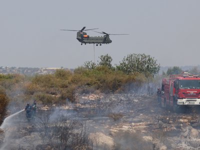 Article featured image